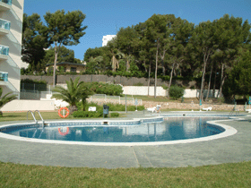 The pool at the Apartment
