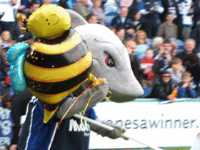 What does Sharky want with a big stick and a Wasp?